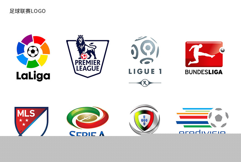 的中卫危机 的中卫危机