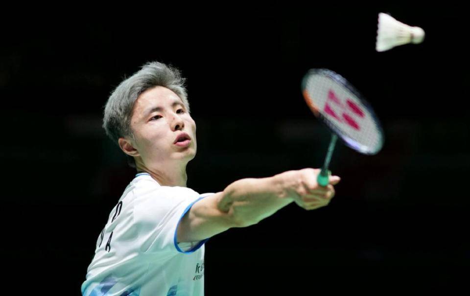 也为我们提 也为我们提