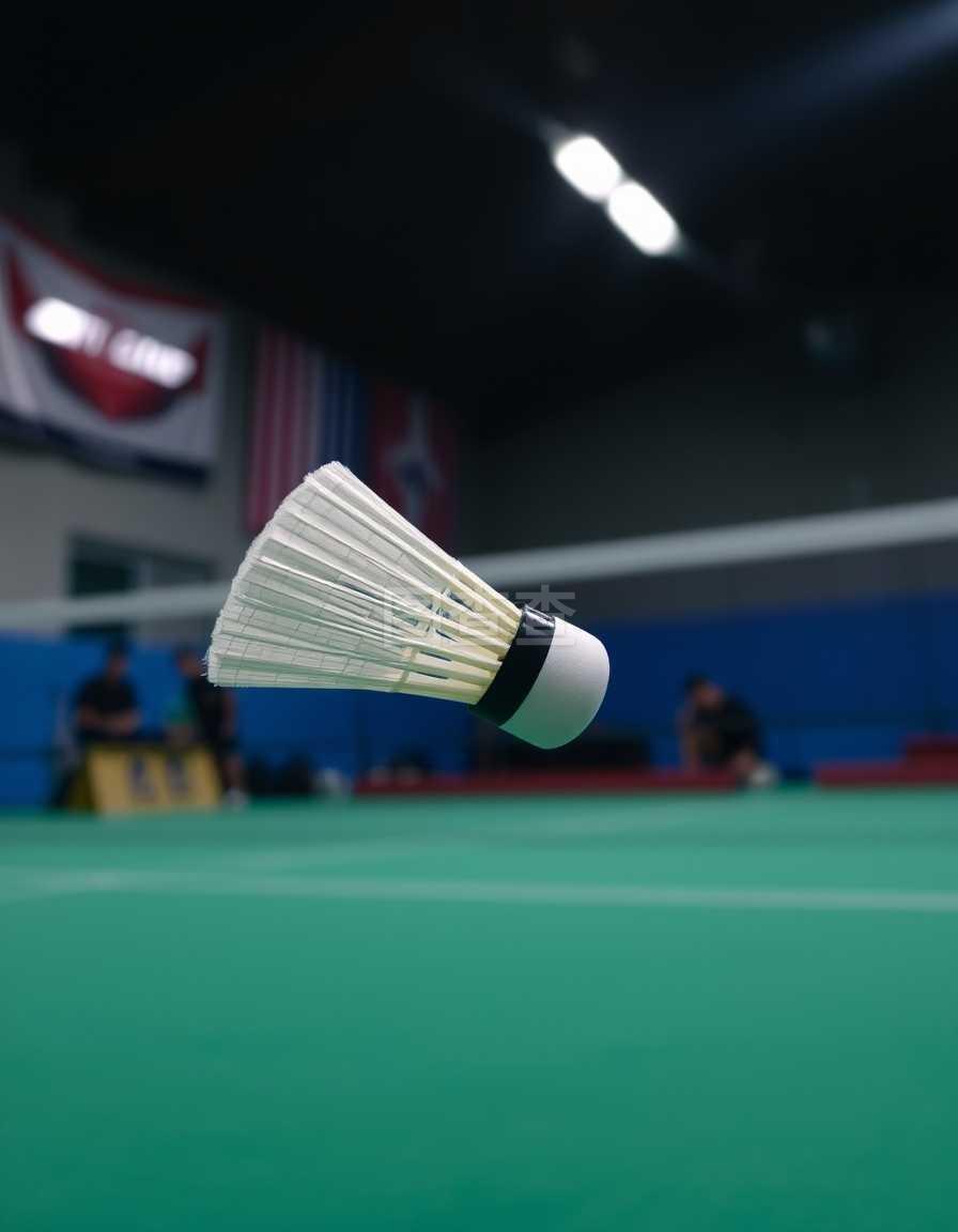 己的新赛季 己的新赛季