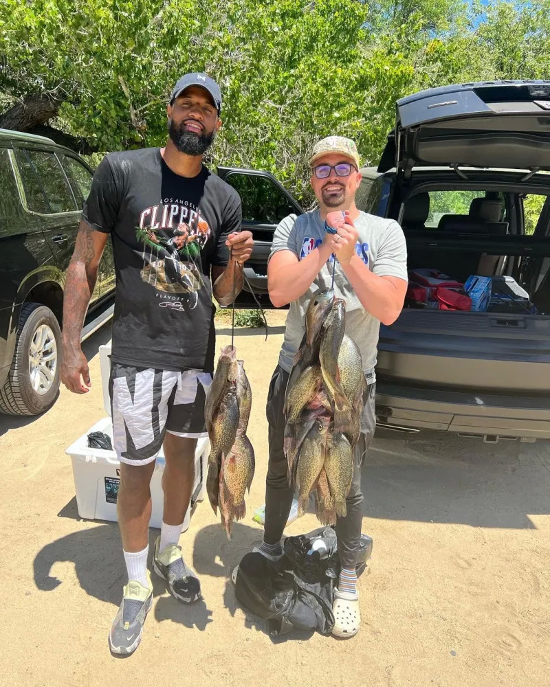 倾向沿用化 倾向沿用化